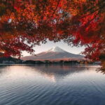 From Tokyo: Mt Fuji, Arakurayama and Kawaguchi Lake Day Trip - Real Experiences and Honest Insights