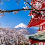 From Tokyo: Mt. Fuji Five Lakes Private Tour with Guide - FAQs