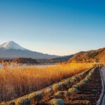 From Tokyo Mt.Fuji, Lake Kawaguchi, Makaino Farm day tour - Overview of the Tour