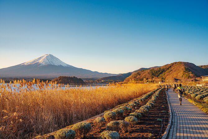 From Tokyo Mt.Fuji, Lake Kawaguchi, Makaino Farm day tour - Overview of the Tour