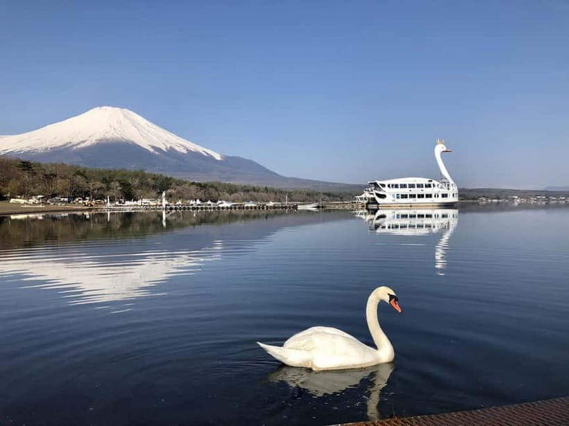 From Tokyo: Mt. Fuji Lawson & Iconic Lakes 1-Day Bus Tour - Transportation and Group Experience