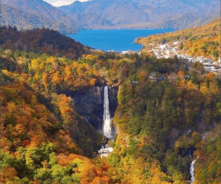 From Tokyo, Nikko Lake Chuzenji Kegan Falls Private Day Trip - Final Thoughts