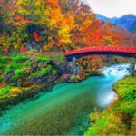 From Tokyo: Nikko luxury Tour with English-speaking Guide - What You’ll Visit and Why It Matters