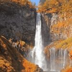 From Tokyo: Nikko private Customize Tour With English Driver - Why Choose This Tour?