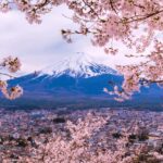 From Tokyo: Private Day Trip to Mount Fuji & Fuji Five lakes - What to Expect on Your Private Tour