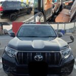 From Tokyo: Private Tour Snow Monkey Park & Zenko-ji Temple - Visiting Jigokudani Monkey Park: The Main Attraction