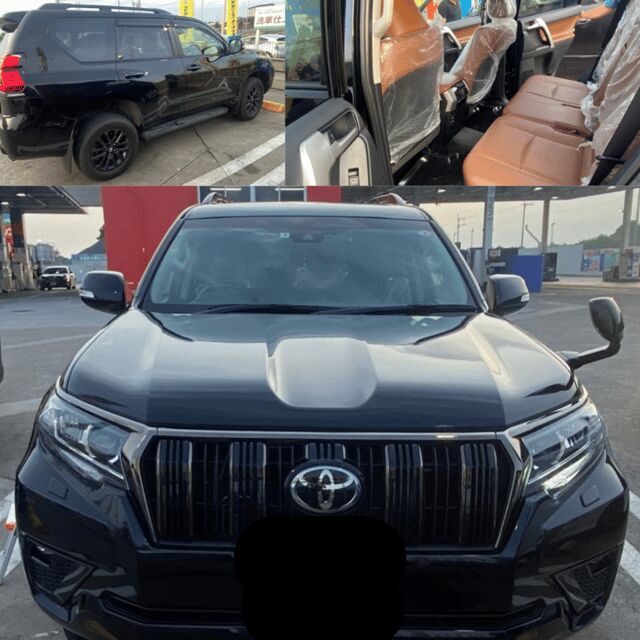 From Tokyo: Private Tour Snow Monkey Park & Zenko-ji Temple - Visiting Jigokudani Monkey Park: The Main Attraction