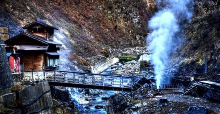 From Tokyo: Snow Monkey Private Customize Day Tour - Visiting Jigokudani Snow Monkey Park