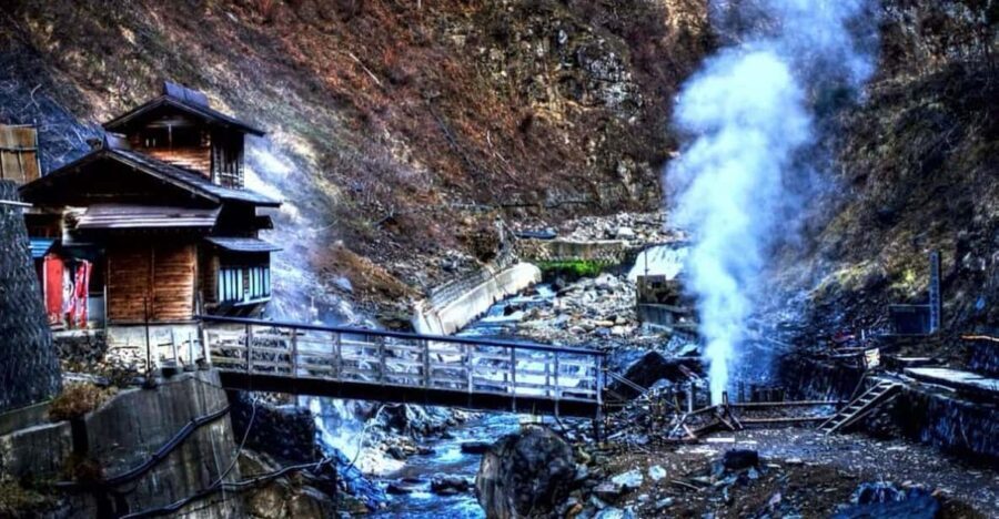 From Tokyo: Snow Monkey Private Customize Day Tour - Visiting Jigokudani Snow Monkey Park