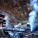 From Tokyo: Snow Monkey & Zenkoji Temple Private Tour - A Relaxing Break at Shibu Onsen