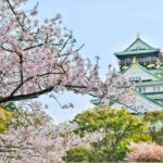 From Tokyo: Tokyo, Kyoto, Osaka, & Nikko Private 7-Day Tour - Why This Tour Offers Great Value