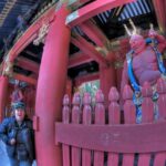 From Tokyo:Private Nikko World Heritage Site Day Tour by Car - An In-Depth Look at the Tour Experience