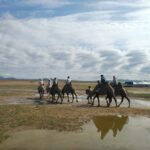 From Ulaanbaatar: Mini Gobi, Wild horse - Terelj tour - What Makes This Tour Stand Out