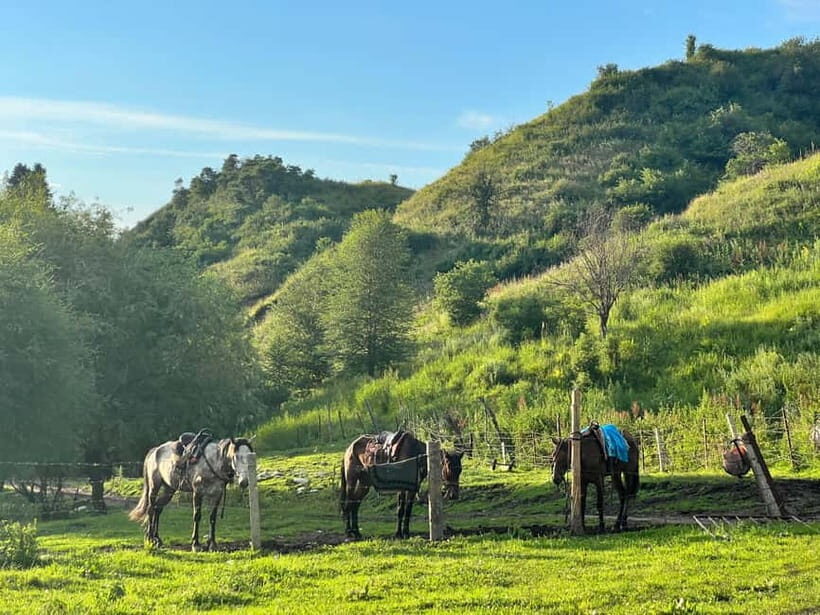 From Yining: Wusun Ancient Trail and Silk Road 7-Day Trek - What’s Included and What to Budget For