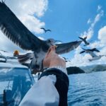 FromOsaka/Kyoto:Hiroshima & Miyajima Private Tour with Lunch - The Day Unpacked: What to Expect from the Tour