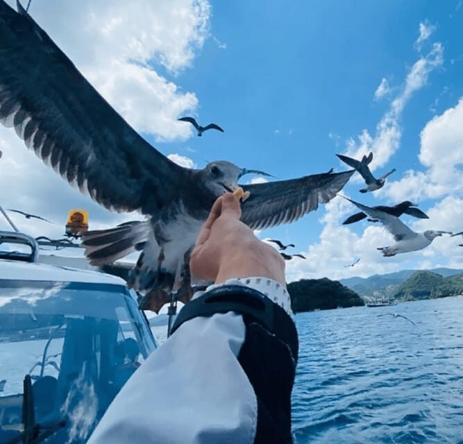 FromOsaka/Kyoto:Hiroshima & Miyajima Private Tour with Lunch - The Day Unpacked: What to Expect from the Tour