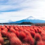 Fuji/Hakone Private Tour, English speaking guide, Photograph - The Value of a Private, Customizable Day