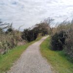 Fukuoka: Cats Island, Ainoshima Guided Tour from Hakata - Transport, Timing, and Group Size