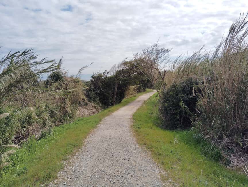 Fukuoka: Cats Island, Ainoshima Guided Tour from Hakata - Transport, Timing, and Group Size