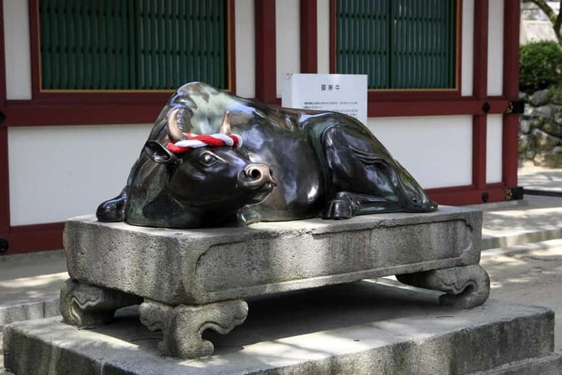 Fukuoka: Dazaifu Tenmangu 2-hour Guided Tour - What’s Included & What’s Not