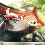 Fukuoka: Dazaifu, Yame, and Yanagawa Private Day Trip - Additional Insights from Real Traveler Experiences