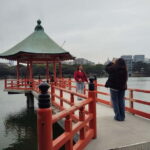 Fukuoka: Fukuoka Castle and Ohori Park Guided Tour - Why This Tour Is a Good Value