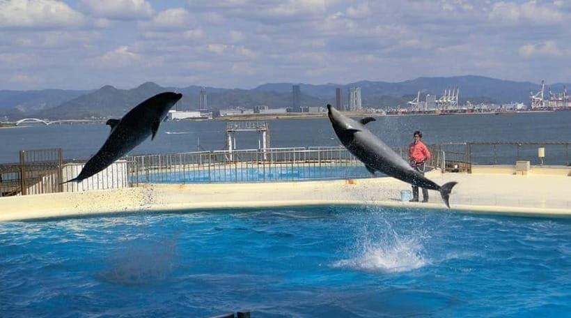 Fukuoka: Hakozaki Shrine, Tocho-ji Temple, & Ohori Park Tour - What’s Included & What to Consider