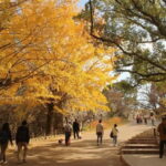 Fukuoka: Hidden History of Zen, Castles & Rebellion Tour - Who Should Consider This Tour?