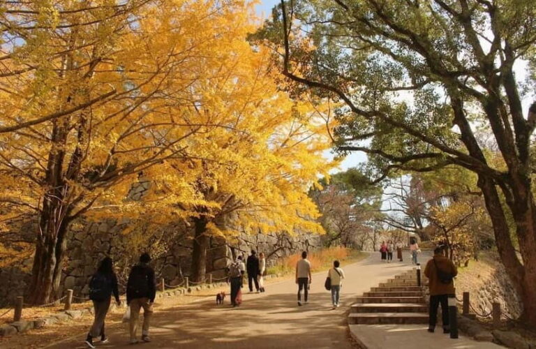 Fukuoka: Hidden History of Zen, Castles & Rebellion Tour - Who Should Consider This Tour?