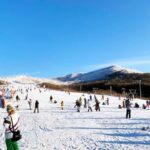 Fukuoka: Kuju Forest Park Skiing Grounds Day Tour opt Lesson - Arrival and Equipment Rental