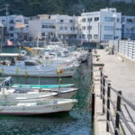 Fukuoka: Private Fishing Tour with Captain and Gear - Exploring the Itinerary in Detail