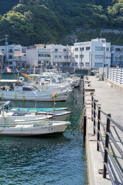 Fukuoka: Private Fishing Tour with Captain and Gear - Exploring the Itinerary in Detail