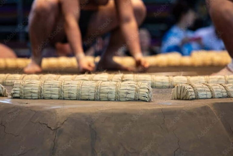 Fukuoka: Watch Sumo Tournament And Visit Sumo Spots! - Why This Tour Works Well