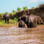 Full Day Chauffeur Driven Tuk Tuk Adventure in Chiang Mai including rafting - What Sets This Tour Apart