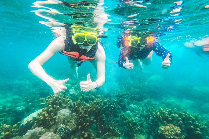 Full-Day Cruise of Koh Nang Yuan and Koh Tao From Koh Samui - What Could Be Better?