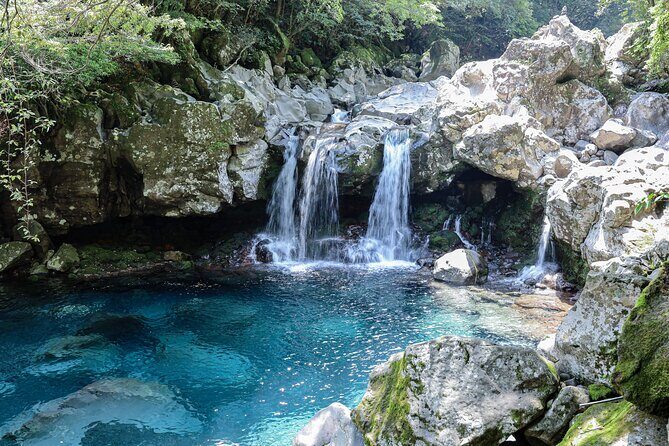 Full Day Essential Jeju Island Private tour for West Course - Why Choose This Tour? An Honest Breakdown