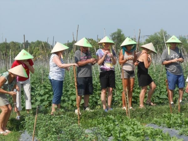 Full-Day Farming & Cooking class at Agricultural Village - What to Expect from the Tour