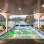 Full Day Halong Bay Luxury Limousine Bus & Buffet Lunch - Final Thoughts