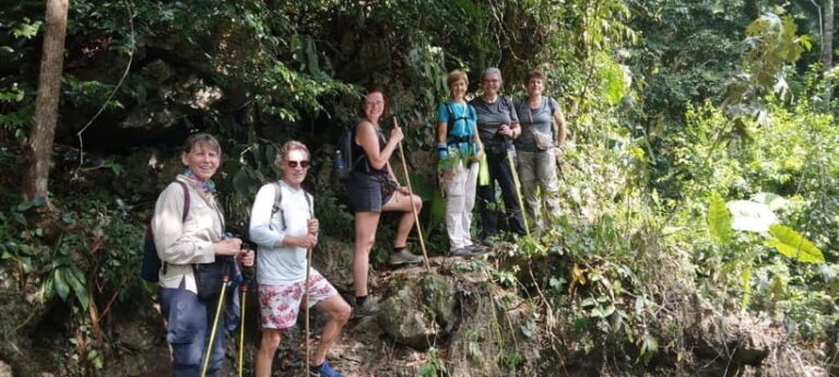 Full day hike - climbing in Jungle of Cat Ba National park - An In-Depth Look at the Itinerary