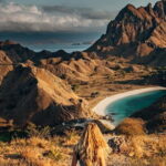 Full Day Komodo Tour With MK Express Speedboat Visit 6 Spot - What the Tour Includes and What to Consider