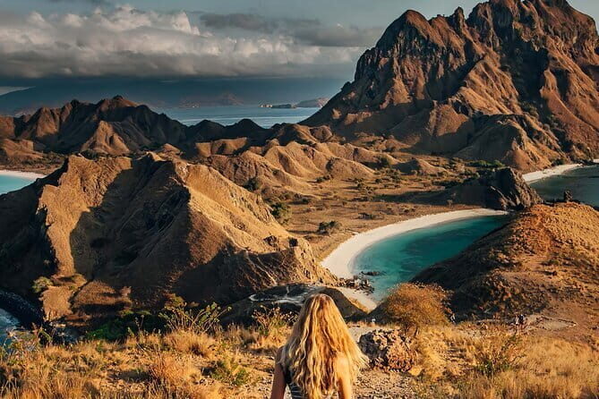 Full Day Komodo Tour With MK Express Speedboat Visit 6 Spot - What the Tour Includes and What to Consider