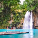 Full-Day Moalboal Islands and Kawasan Falls Small-Group Tour from Cebu - Key Points