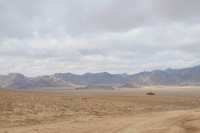 Full Day Private Jeep Tour to Elsen Tasarkhai, Semi-Gobi - Final Thoughts: Is It Worth It?