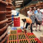 Full Day Shared Tour of Phu Quoc Southern with Lunch - Who Is This Tour Best For?