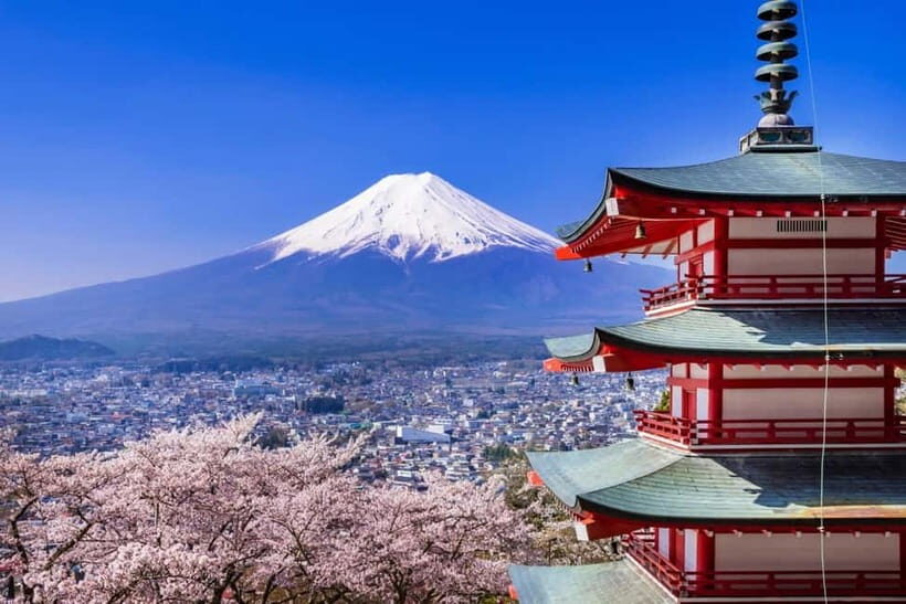 Full-Day Tour to the Picturesque Spots of Mount Fuji - Who is This Tour Best For?
