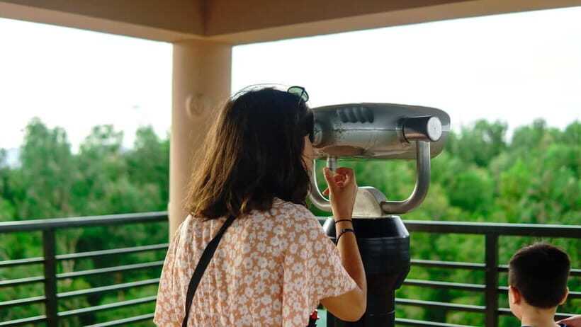 Full Day Tour Tra Su Forest From Can Tho City - The Experience Inside Tra Su Forest