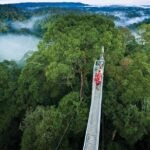 Full Day Trip of Brunei Ulu Temburong National Park including Canopy Walk - What Makes This Tour Stand Out?