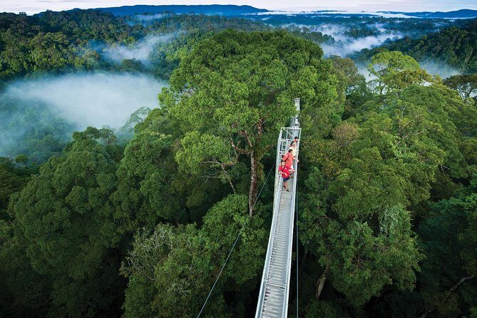 Full Day Trip of Brunei Ulu Temburong National Park including Canopy Walk - What Makes This Tour Stand Out?