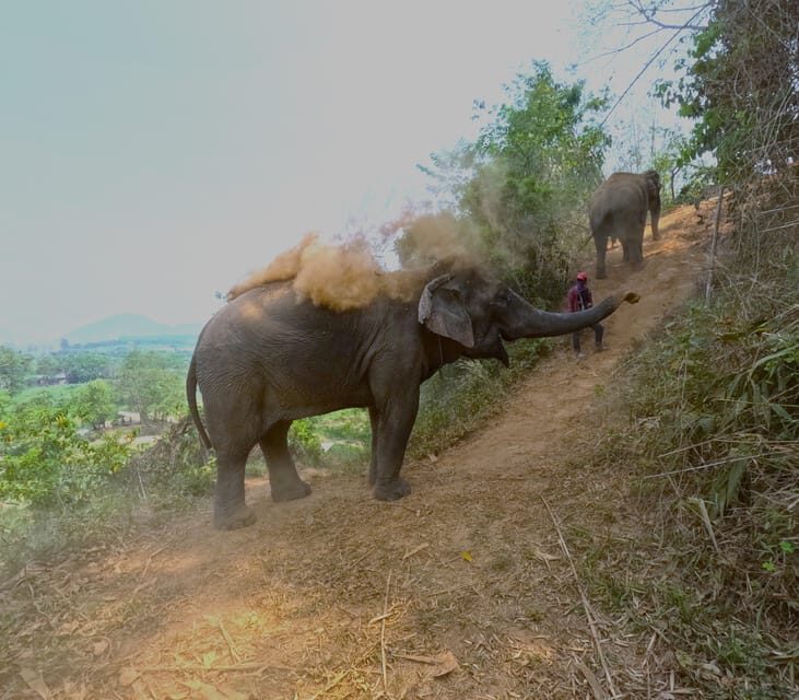 Full-day with CHIANGMAI ELEPHANT CARE and Sticky waterfall - What’s Included and What’s Not