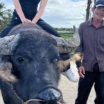 Funny day cycling, Buffalo riding and Basket boat - Key Points